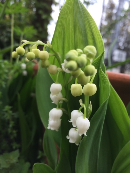 f0201297_09053392.jpg