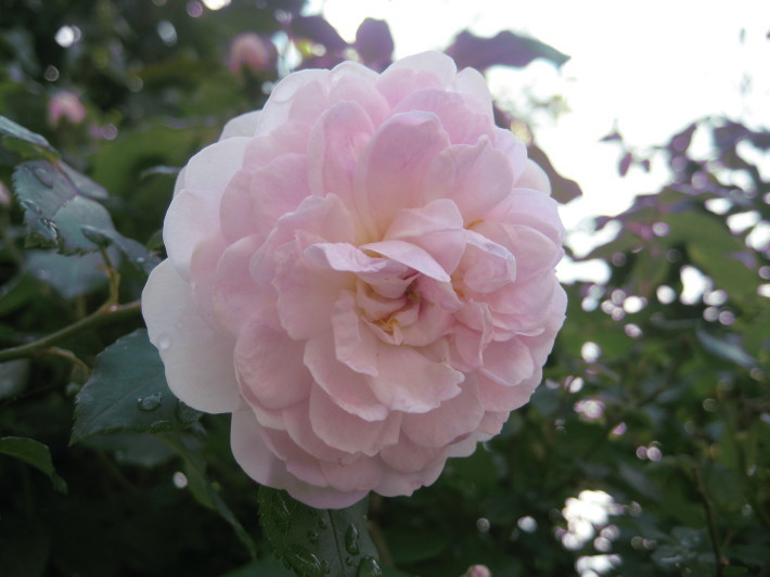 f0201297_09101456.jpg