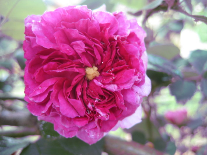 f0201297_09302970.jpg