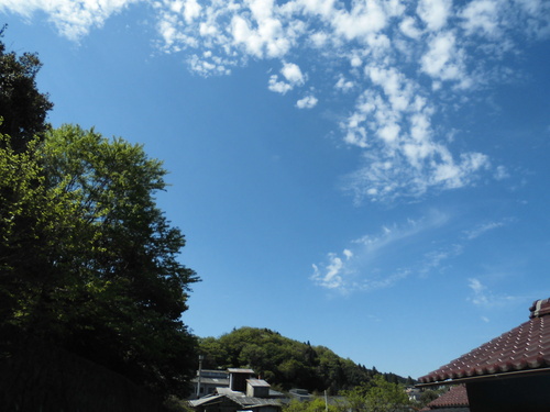 c0108198_16132884.jpg