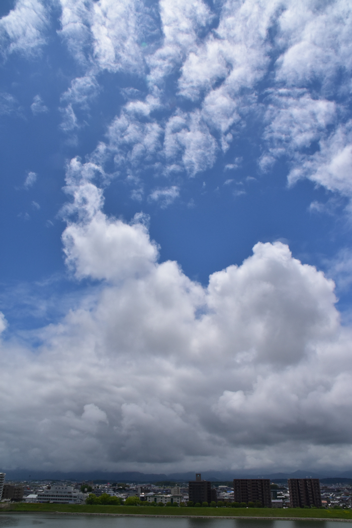 c0049299_22475135.jpg