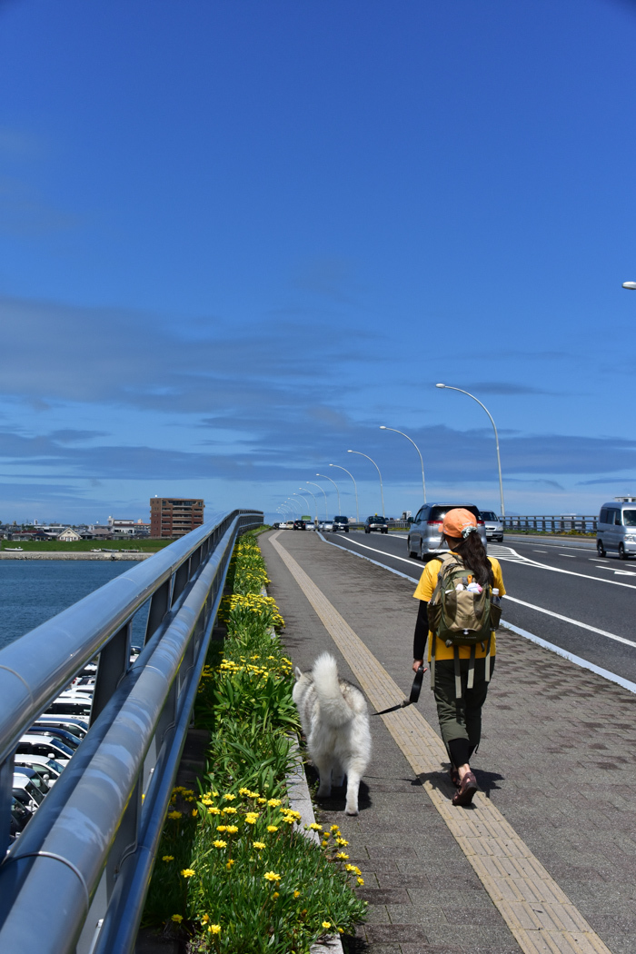 c0049299_22595494.jpg