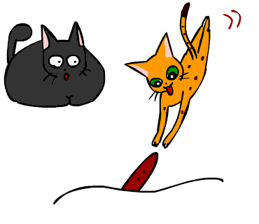 c0011300_22160772.gif