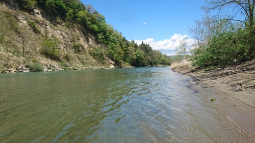 e0294803_2324559.jpg