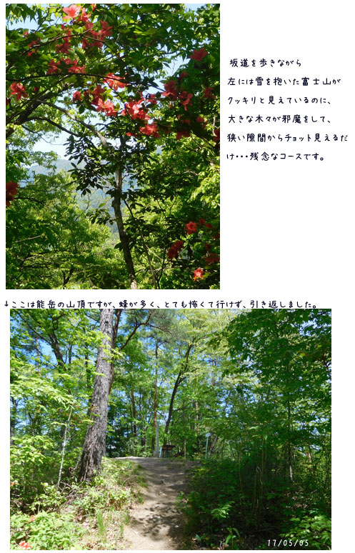 c0051105_23215399.jpg