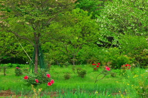 a0263109_07515764.jpg