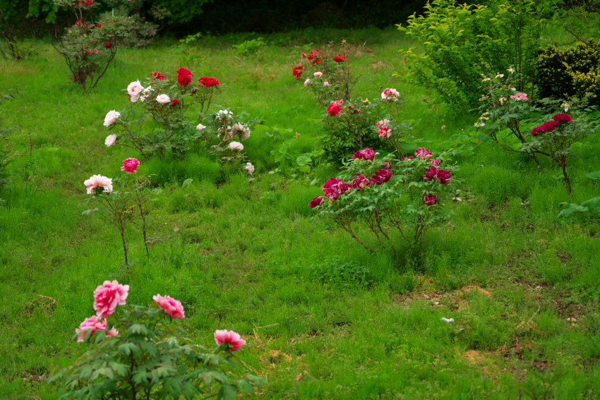 a0263109_07591361.jpg