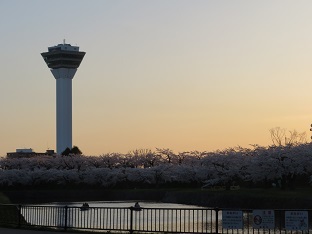 f0325309_10040254.jpg