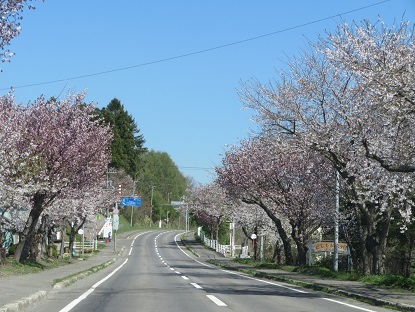 f0325309_23244587.jpg
