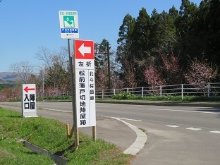 f0325309_23245636.jpg