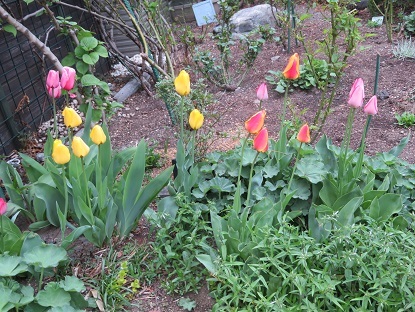 f0325309_23274924.jpg