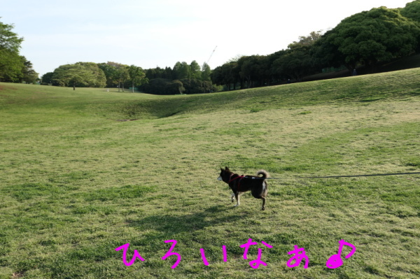 f0369014_08491383.jpg