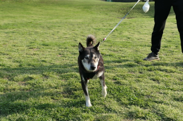 f0369014_08520381.jpg