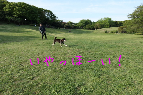 f0369014_08571891.jpg