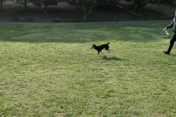 f0369014_08581405.jpg