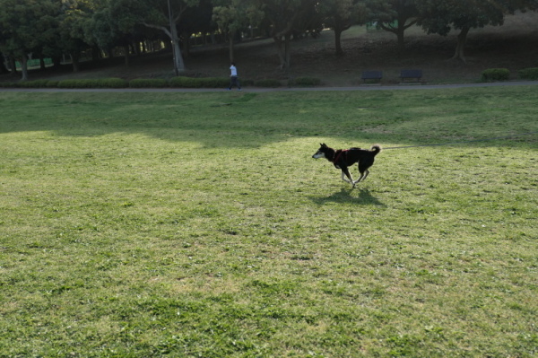 f0369014_08583654.jpg
