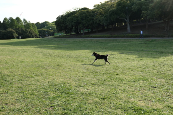 f0369014_08585726.jpg