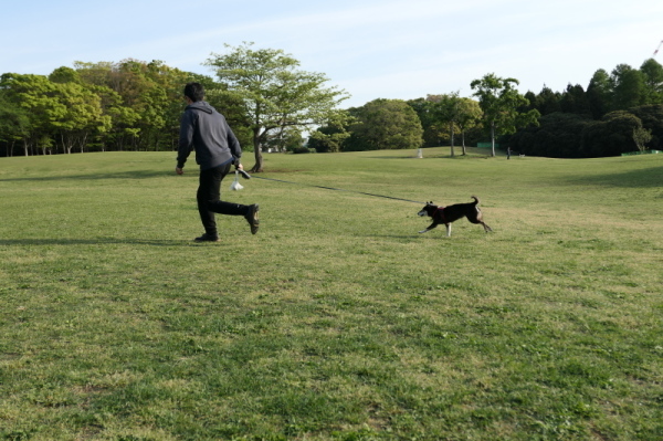 f0369014_08592578.jpg