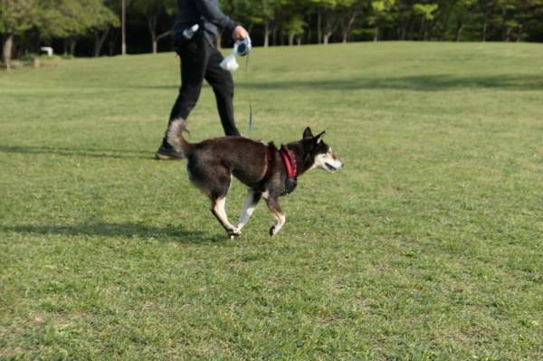 f0369014_09000203.jpg