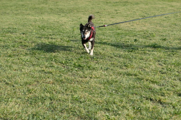 f0369014_09004884.jpg