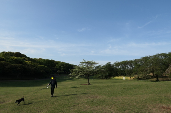 f0369014_09041616.jpg