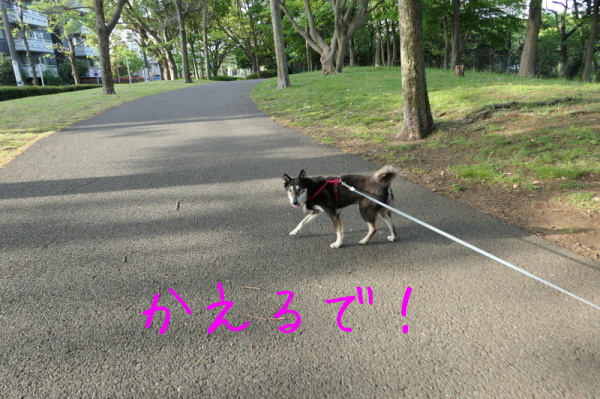f0369014_09063899.jpg