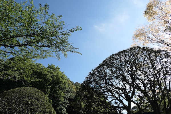 f0369014_15571629.jpg