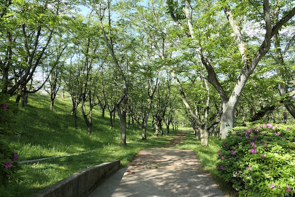 f0369014_15594667.jpg