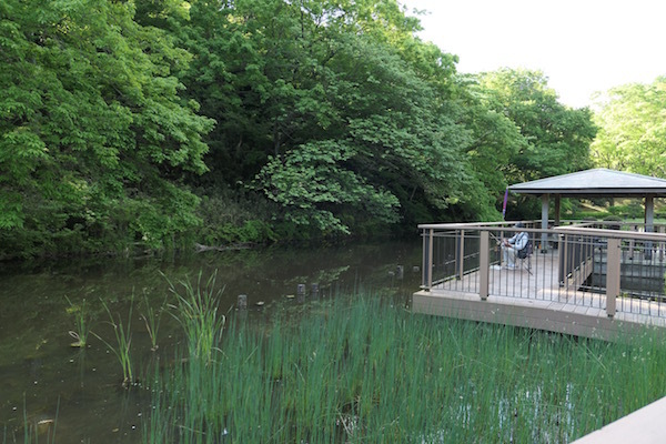 f0369014_16042952.jpg