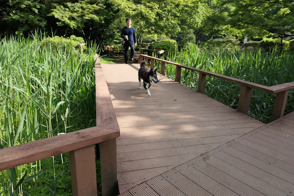 f0369014_16052981.jpg