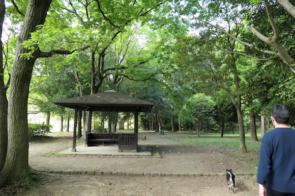f0369014_16115526.jpg