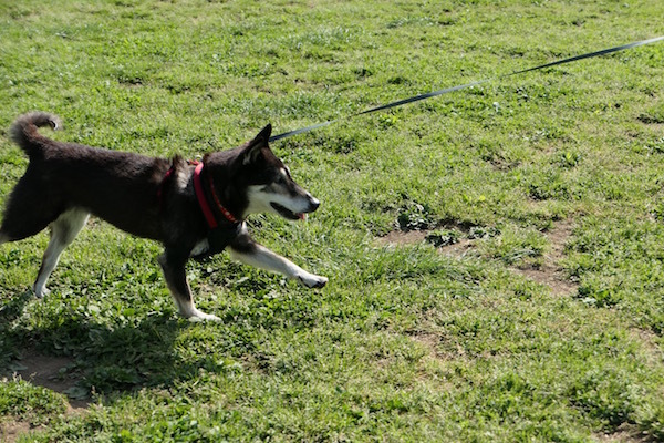 f0369014_19032014.jpg