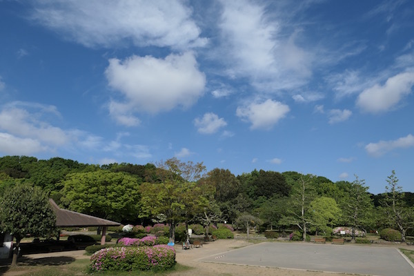 f0369014_19075679.jpg