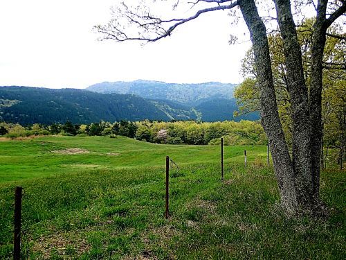 a0315918_21293845.jpg