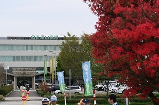 e0081218_23261597.jpg