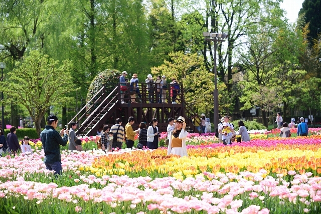 d0362223_21161734.jpg