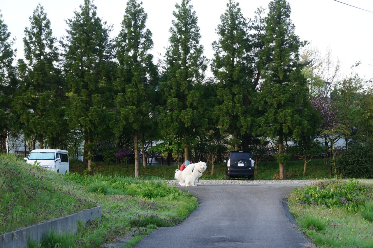 f0234023_16030821.jpg