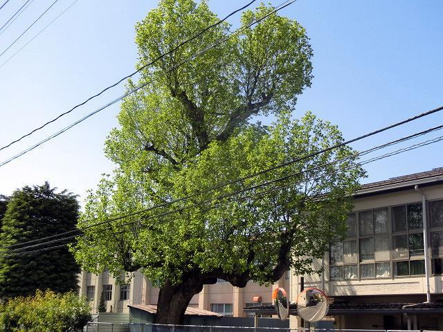 e0234924_15085739.jpg