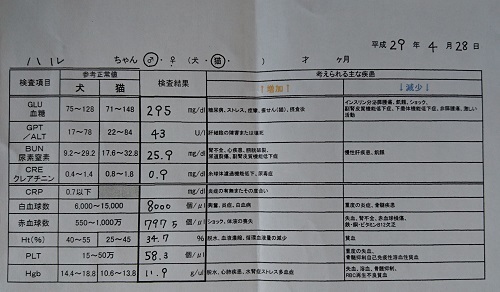 f0210625_16081608.jpg