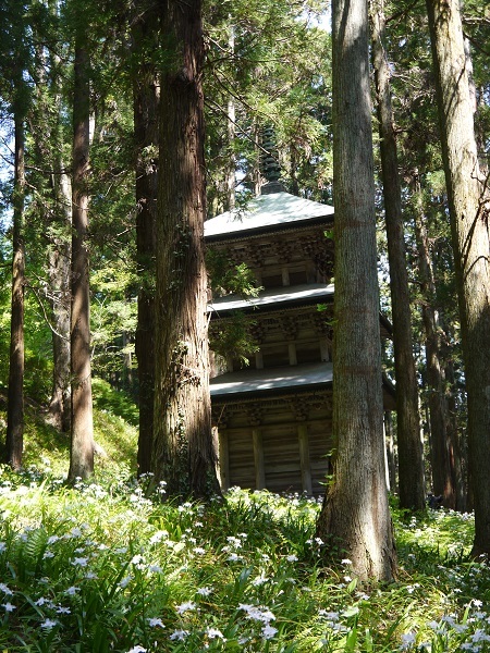 e0137130_22584642.jpg