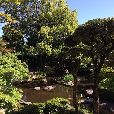 c0081032_16261654.jpg