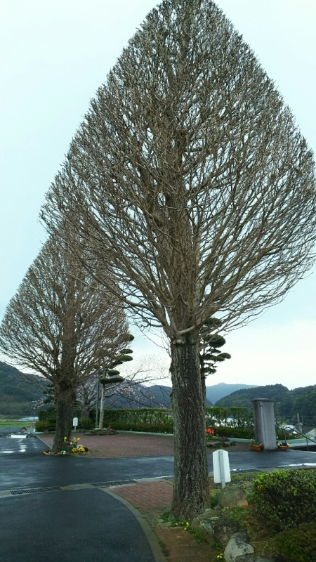 e0305834_19291621.jpg