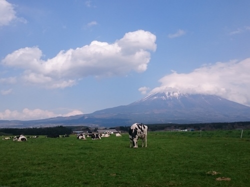 f0042637_00002870.jpg