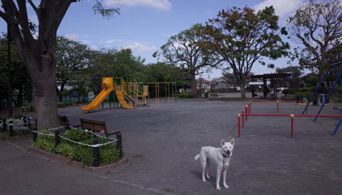 a0117039_19393313.jpg