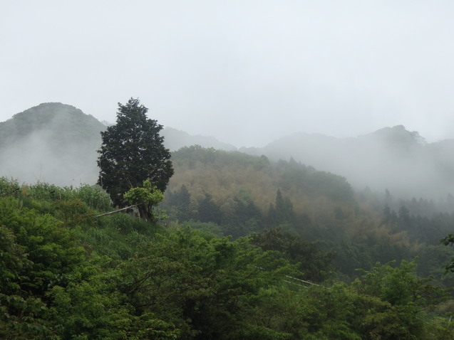 a0054240_22253190.jpg