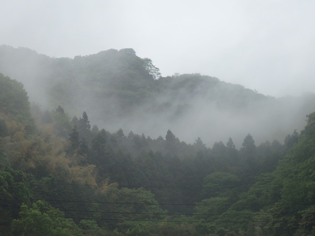 a0054240_22583433.jpg