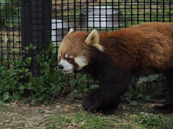 a0149740_14295043.jpg