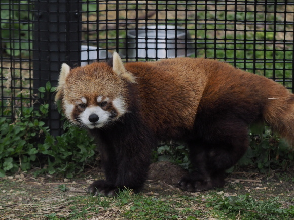 a0149740_14322845.jpg