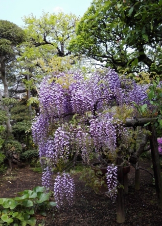 a0248540_11480836.jpg