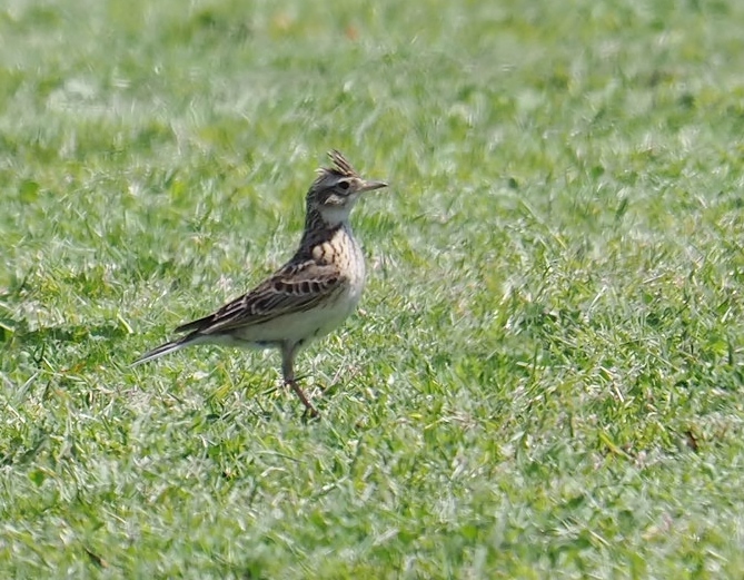 a0248540_12135649.jpg